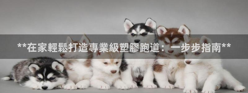 333814红足1世：**在家輕鬆打造專業級塑膠跑道：一步步指南**