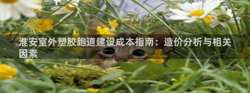 333814红足1世：淮安室外塑胶跑道建设成本指南：造价分析与相关
因素