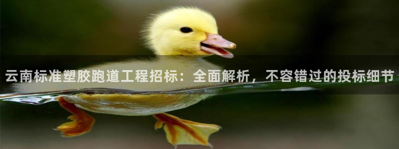 红足一1世官网比分：云南标准塑胶跑道工程招标：全面解析，不容错过的投标细节